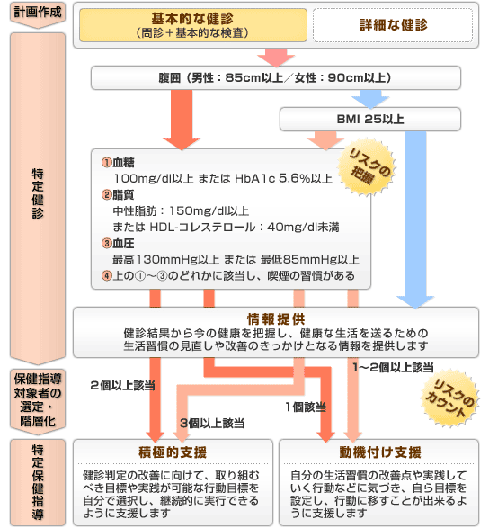 特定保健指導等の全体の流れ